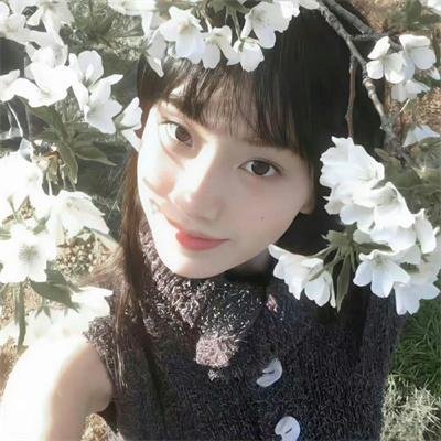 色情响尾蛇